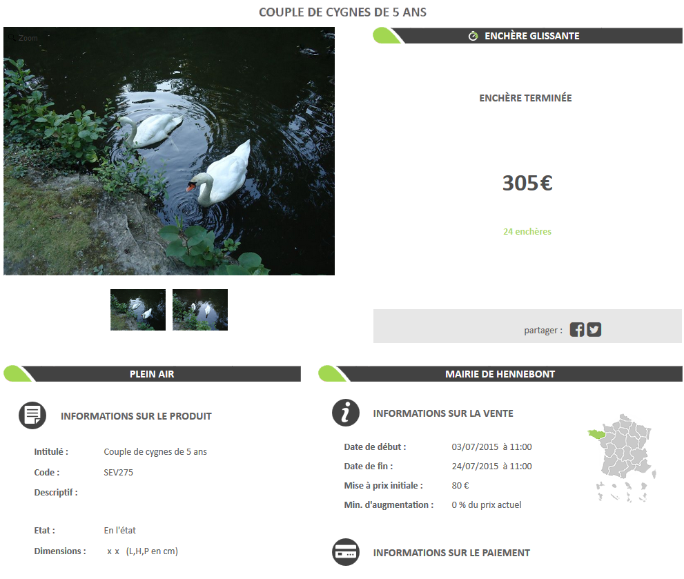 enchère couple de cygnes